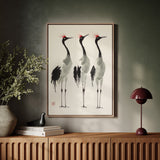 Graceful Cranes