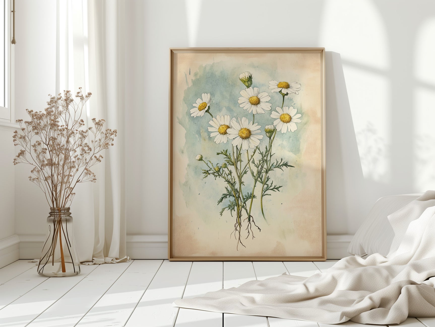 Daisy Dreams