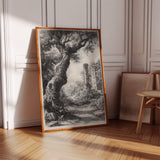 Ancient Woods