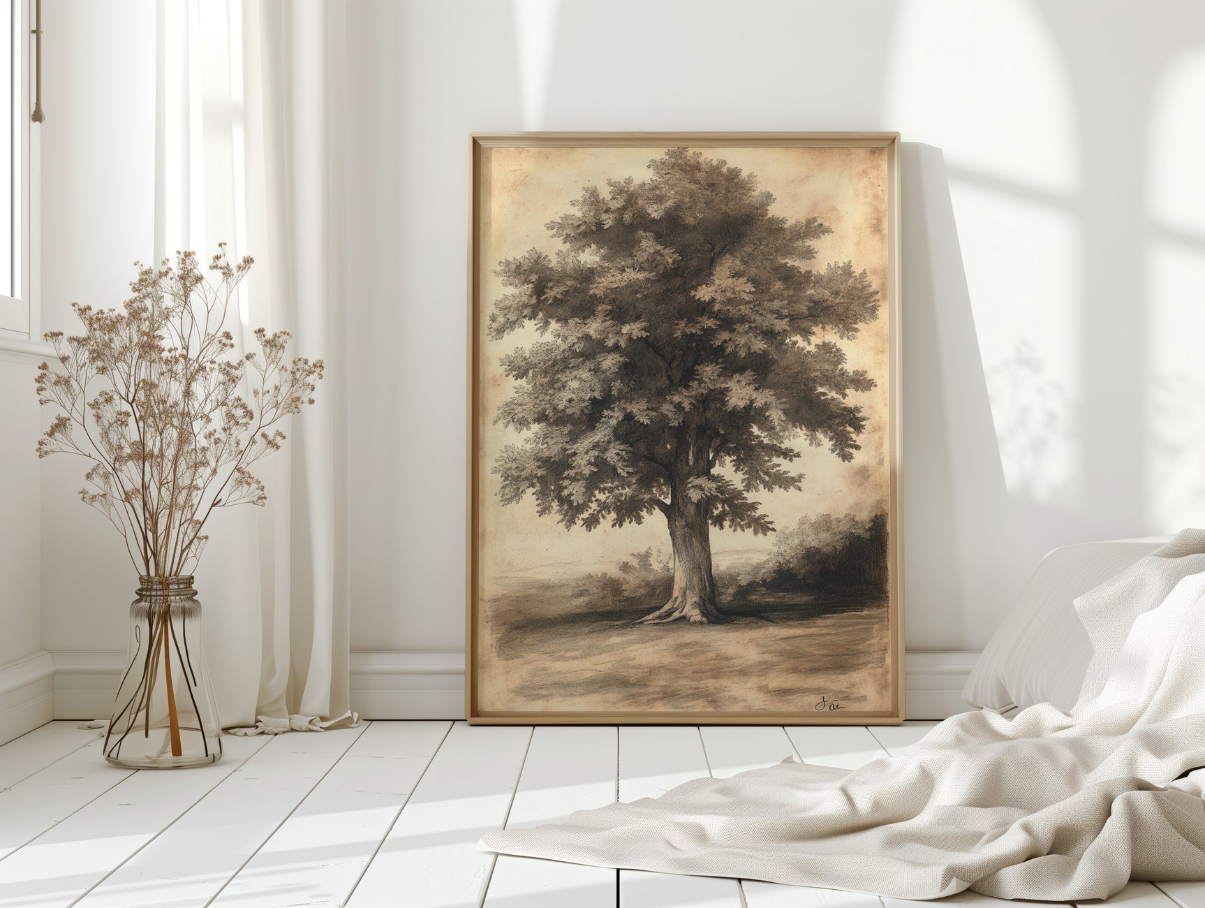 Timeless Oaks