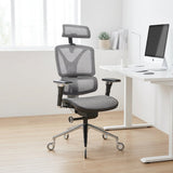NOUHAUS ErgoPro Ergonomic Office Chair