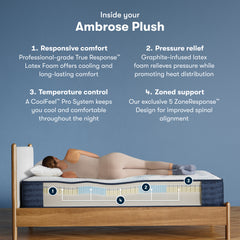 iComfortPro Ambrose 13" Dark Blue/White Latex Foam California King Plush Mattress - Ornate Home