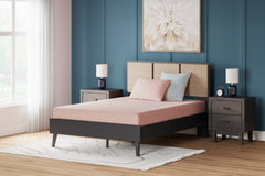 iKidz Coral Coral Twin Mattress and Pillow - Ornate Home