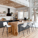 Desi White Counter Stool (Set of 2)