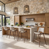 Desi Beige & Walnut Counter Stool (Set of 2)