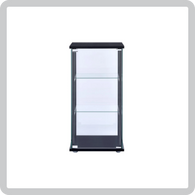 Curio Cabinet