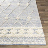 Moe Area Rug - Clearance