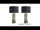 Jacek Gray/Brass Finish Table Lamp (Set of 2)