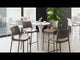 Ace Brown & Walnut Barstool (Set of 2)