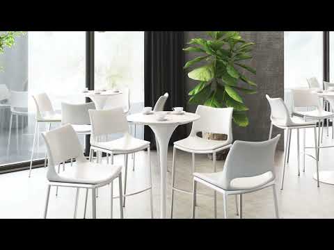 Ace White & Silver Barstool (Set of 2)