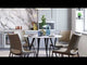 Ace Brown & Walnut Dining Chair (Set of 2)