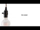 Molly Black Ceiling Lamp
