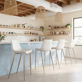 Magnus White & Silver Barstool (Set of 2)