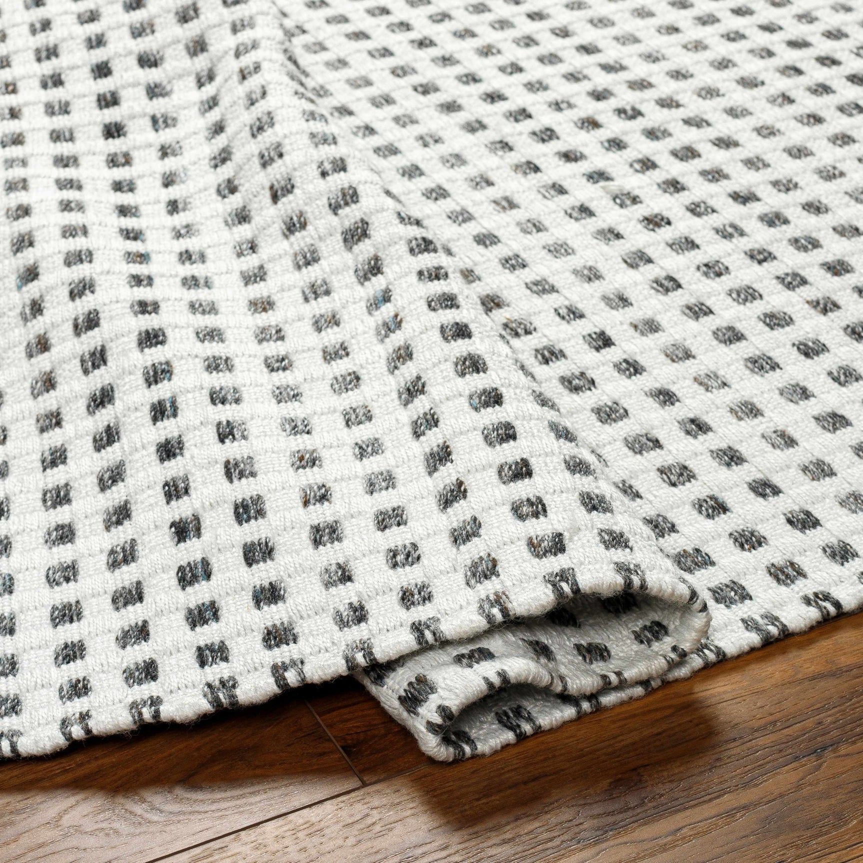 Bence Black & White Area Rug - Clearance