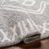 Asael Gray Area Rug - Clearance