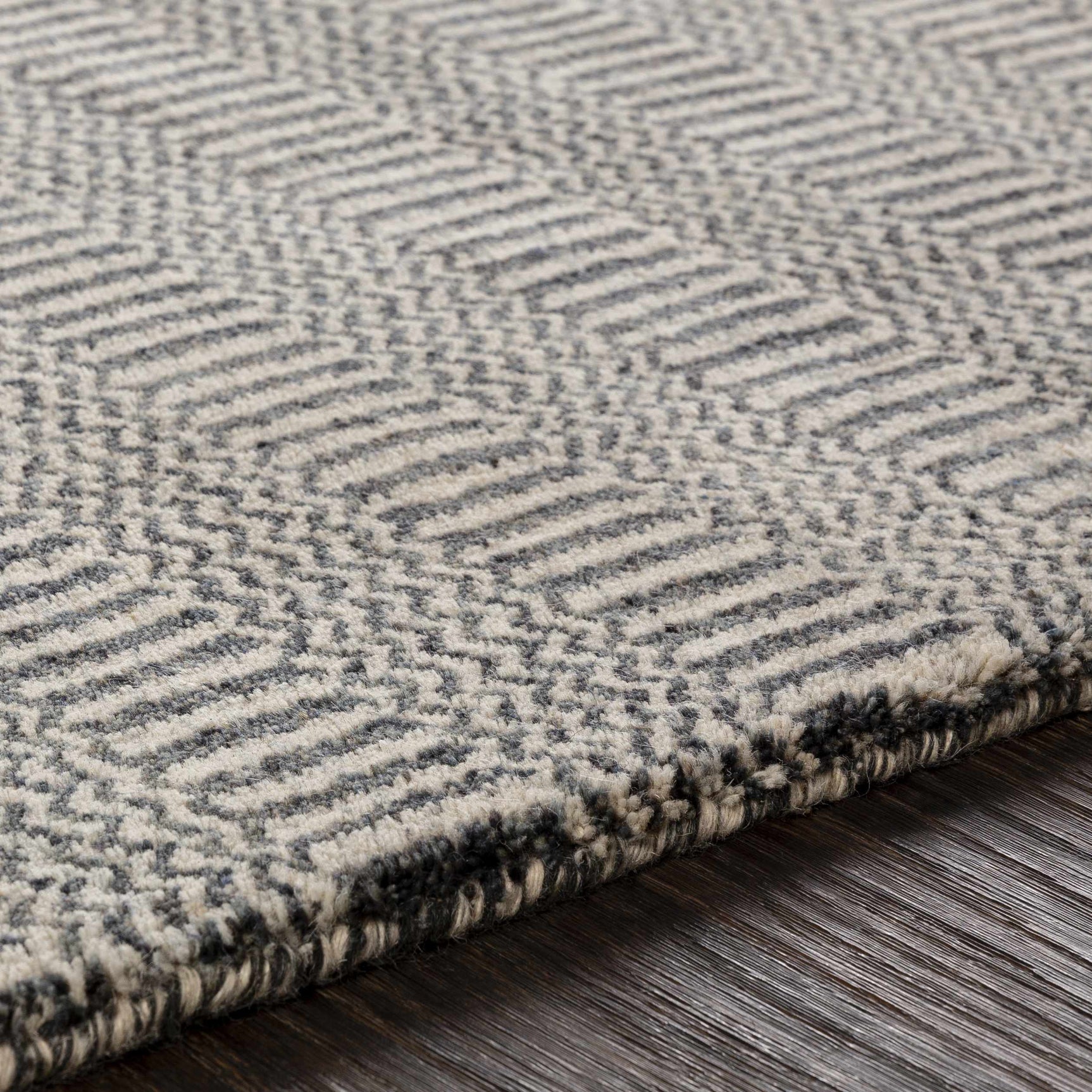 Spencerport Area Rug - Clearance