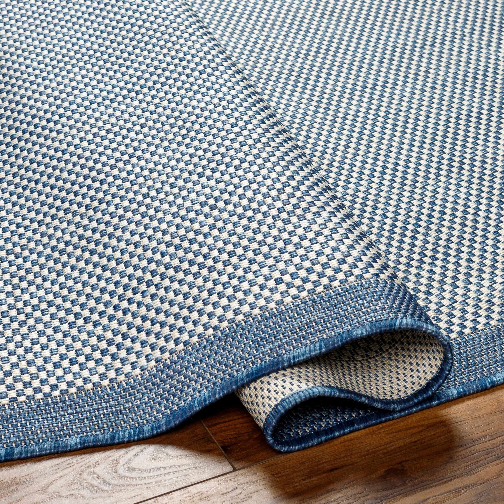 Aleid Blue Outdoor Area Rug - Clearance