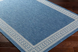 Aleli Blue Outdoor Area Rug - Clearance