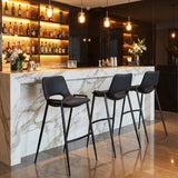 Desi Black Barstool (Set of 2)