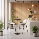 Desi White Barstool (Set of 2)