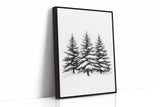 Winter Pines