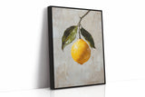 Serenade of Citrus