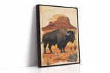 American Western Bison