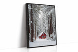 Sanctuary Beneath Snow-Covered Pines