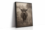 Guardian of the Misty Meadow