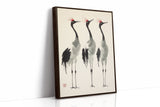 Graceful Cranes