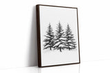 Winter Pines