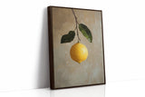 Lemon's Solitude