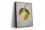 Serenade of Citrus