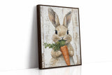 Carrot Dreams