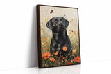 Canine Meadows Reverie