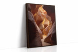 The Canyon's Golden Embrace