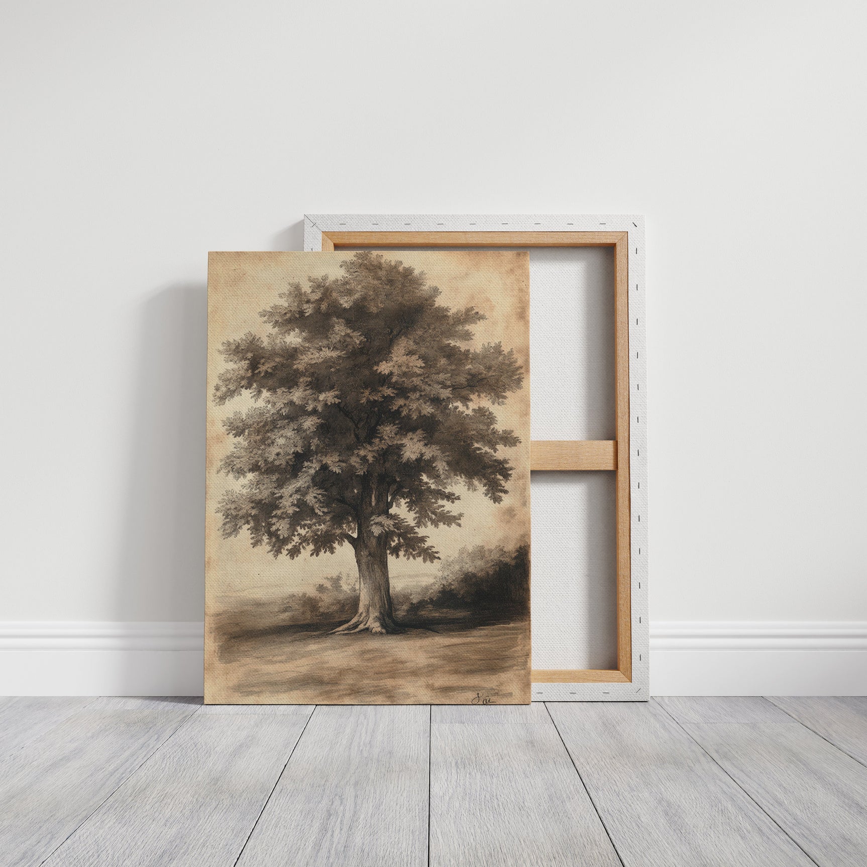 Timeless Oaks