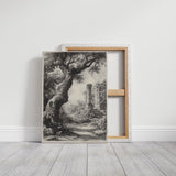 Ancient Woods