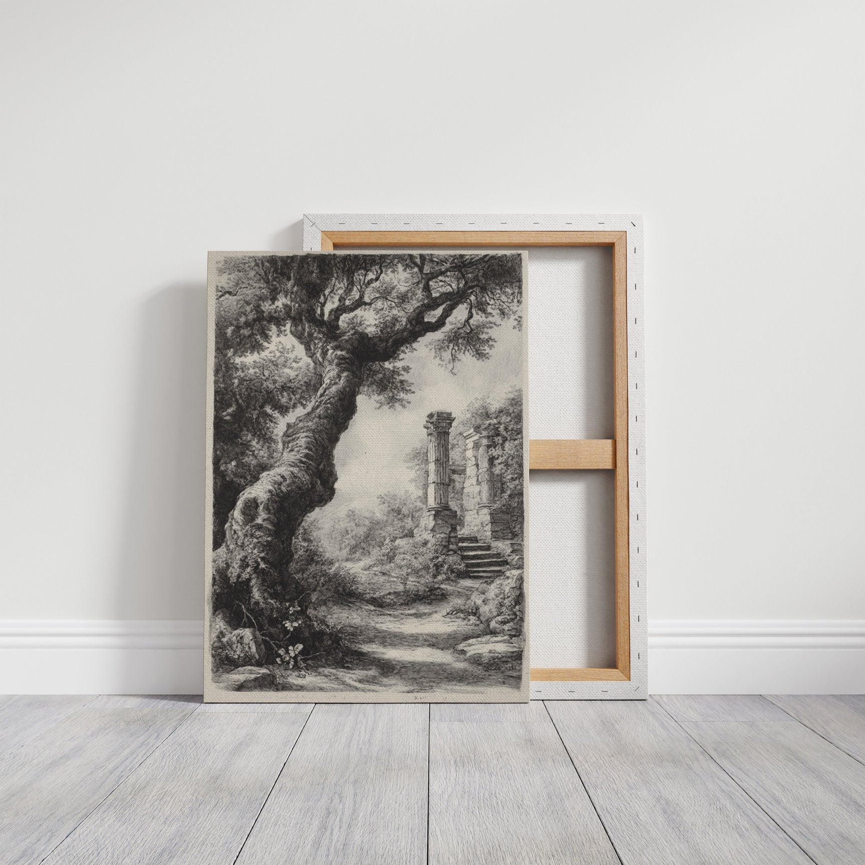 Ancient Woods
