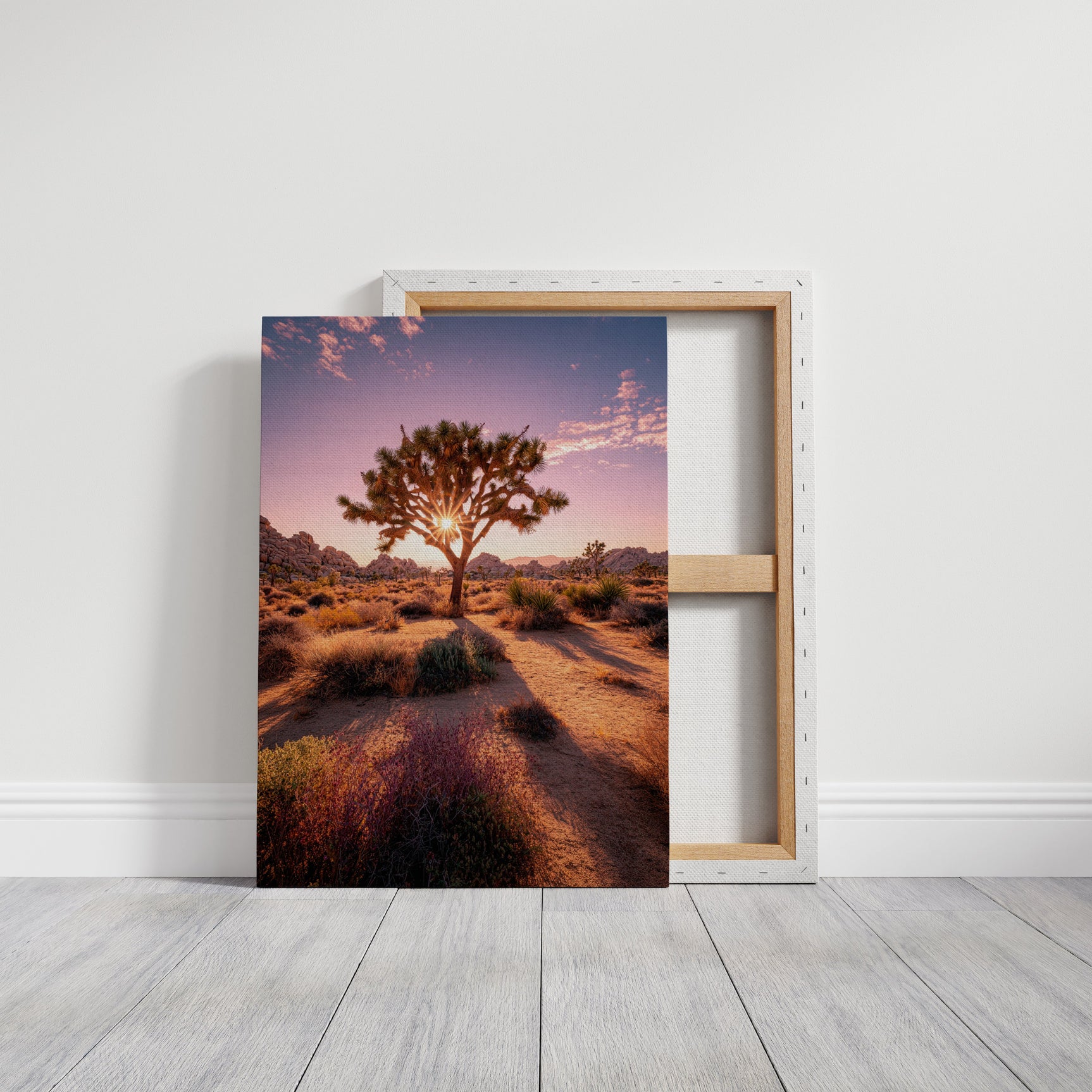The Sun's Embrace on Desert Sage