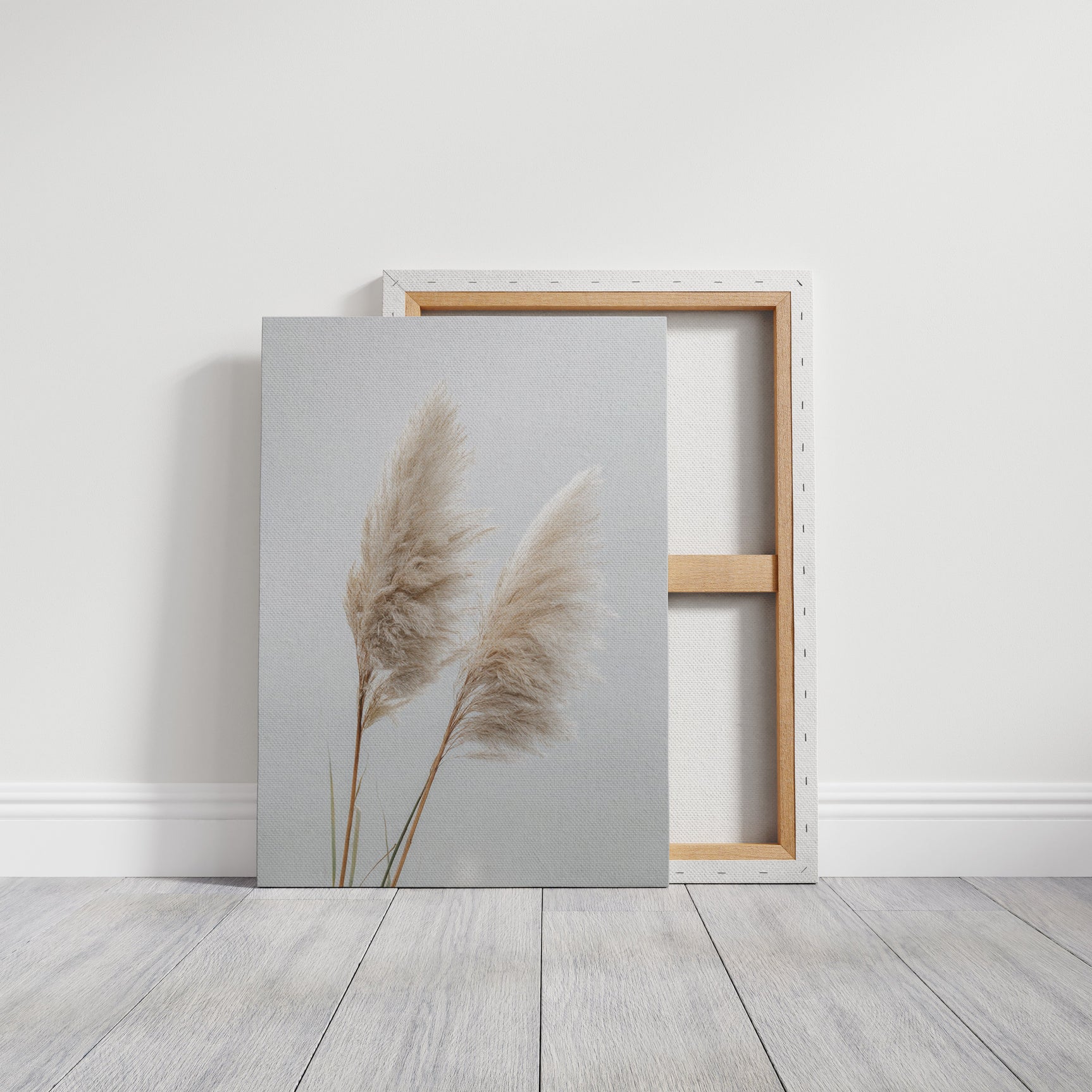 Dancing Grasses In Soft Light
