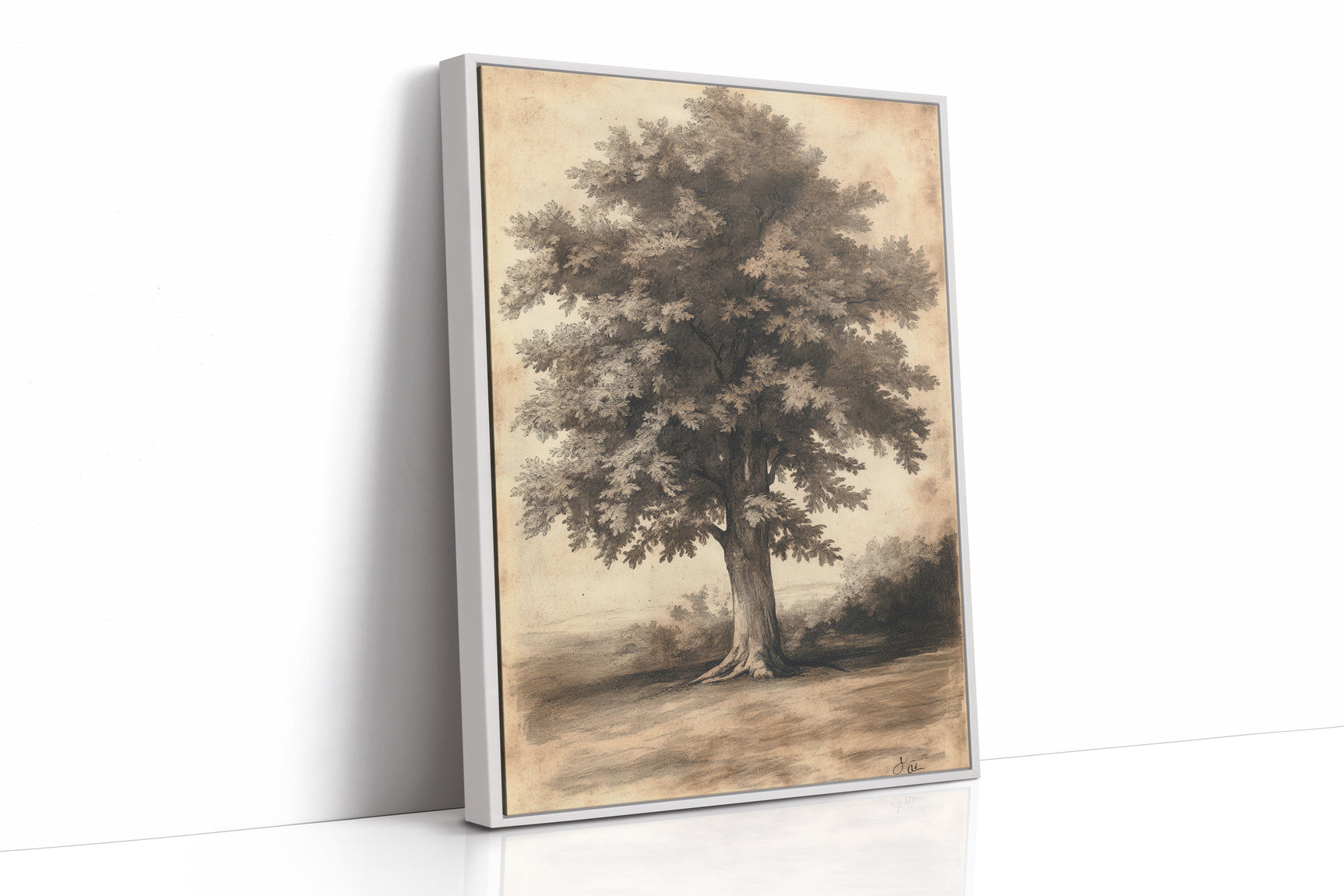 Timeless Oaks