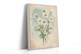 Daisy Dreams