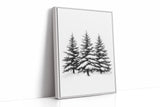 Winter Pines