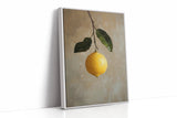 Lemon's Solitude