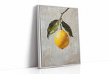 Serenade of Citrus