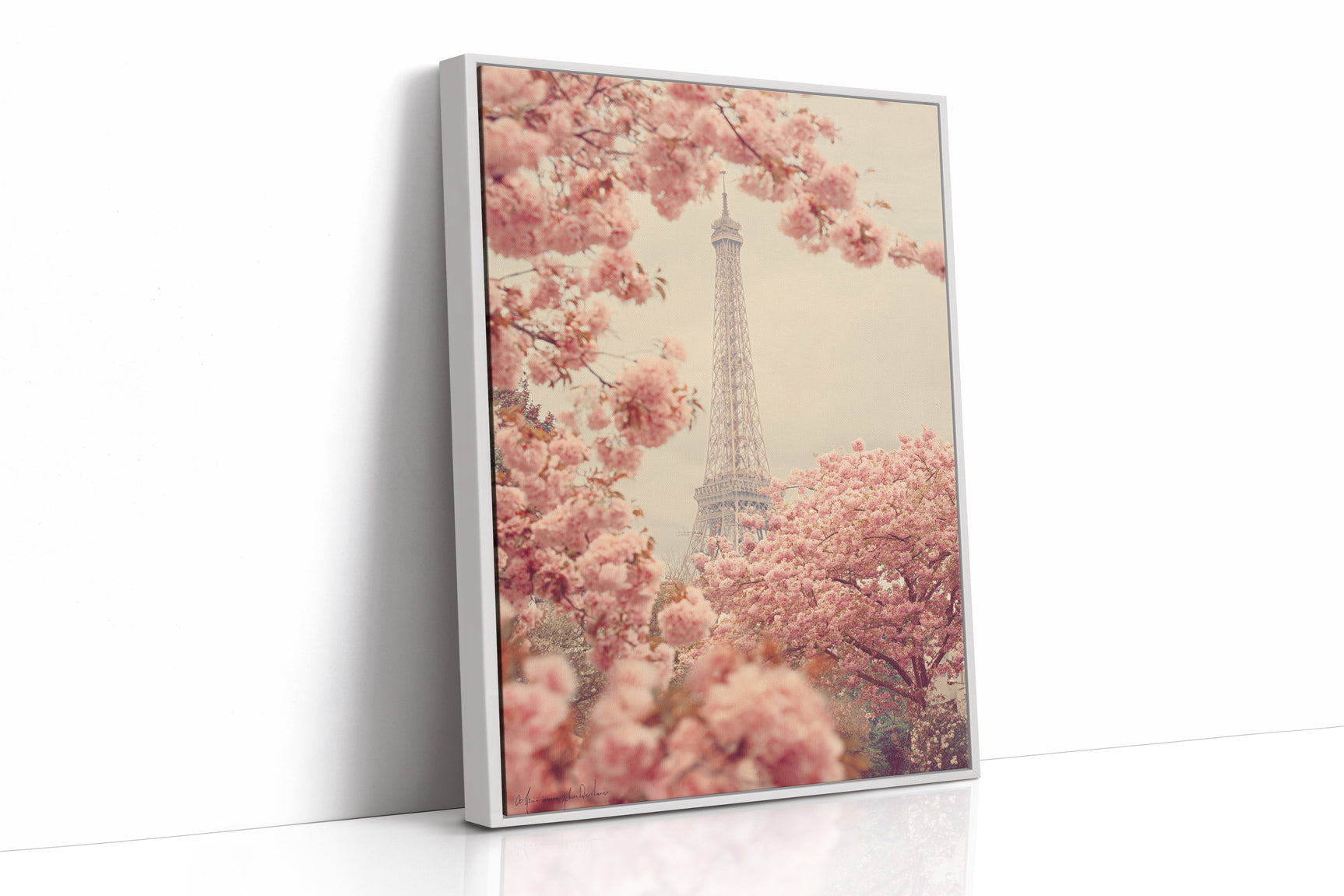 Petals Dance Beneath Parisian Skies