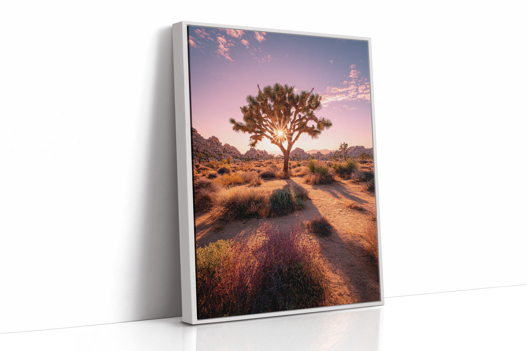 The Sun's Embrace on Desert Sage
