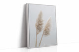 Dancing Grasses In Soft Light