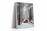 Sanctuary Beneath Snow-Covered Pines